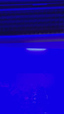 Snooker Ice Machine 160LBS/24HRS Capacity, Used FOR01658